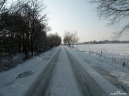 Winter 2012