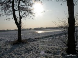 Winter 2012