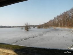 Winter 2012