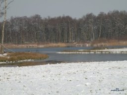 Winter 2012