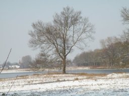 Winter 2012